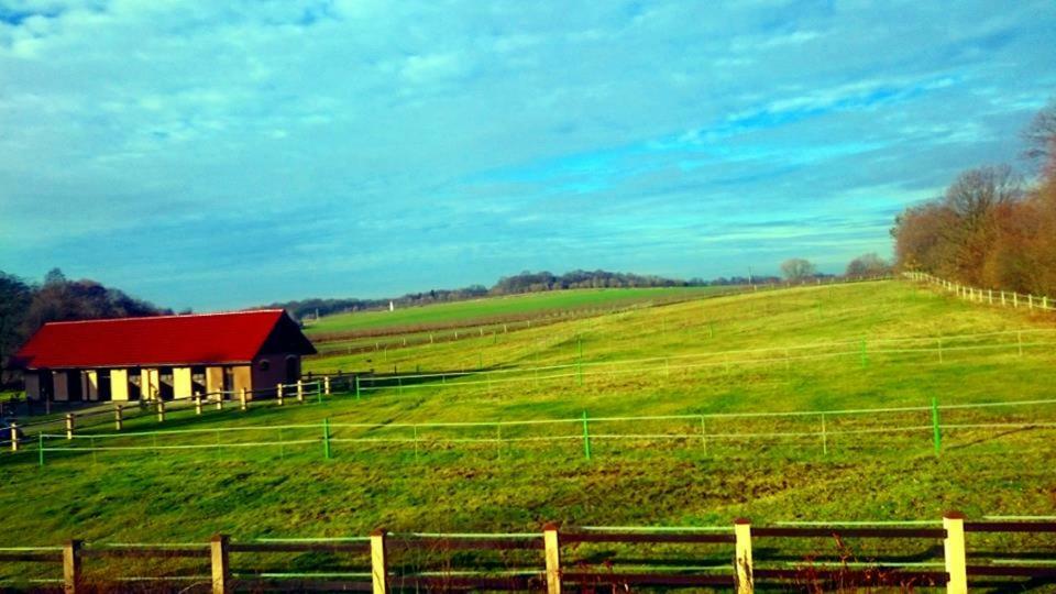 Pensjonat Enklawa Trzebnica Exterior foto